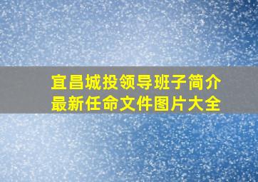 宜昌城投领导班子简介最新任命文件图片大全