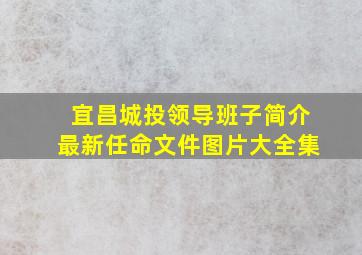 宜昌城投领导班子简介最新任命文件图片大全集