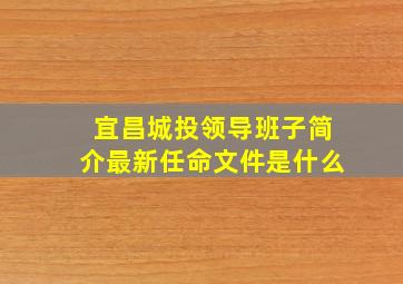 宜昌城投领导班子简介最新任命文件是什么