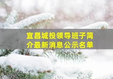 宜昌城投领导班子简介最新消息公示名单