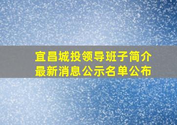 宜昌城投领导班子简介最新消息公示名单公布