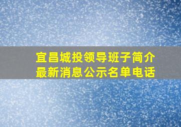 宜昌城投领导班子简介最新消息公示名单电话