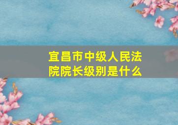 宜昌市中级人民法院院长级别是什么