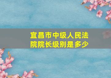 宜昌市中级人民法院院长级别是多少