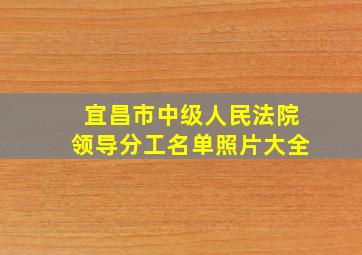 宜昌市中级人民法院领导分工名单照片大全