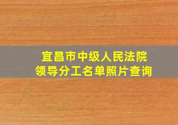 宜昌市中级人民法院领导分工名单照片查询