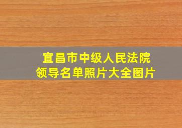 宜昌市中级人民法院领导名单照片大全图片