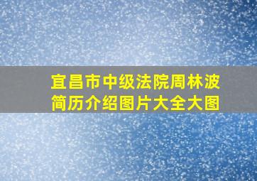 宜昌市中级法院周林波简历介绍图片大全大图