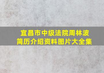 宜昌市中级法院周林波简历介绍资料图片大全集