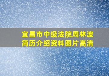 宜昌市中级法院周林波简历介绍资料图片高清