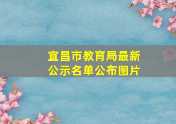 宜昌市教育局最新公示名单公布图片