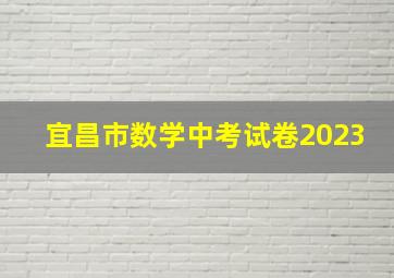 宜昌市数学中考试卷2023