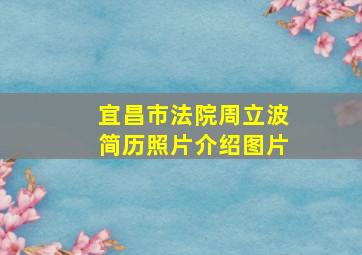 宜昌市法院周立波简历照片介绍图片