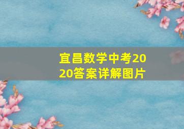 宜昌数学中考2020答案详解图片