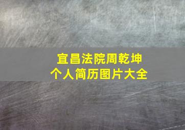 宜昌法院周乾坤个人简历图片大全