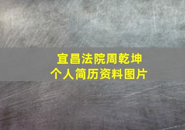 宜昌法院周乾坤个人简历资料图片