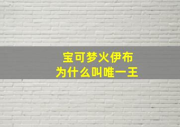 宝可梦火伊布为什么叫唯一王