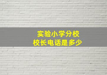 实验小学分校校长电话是多少