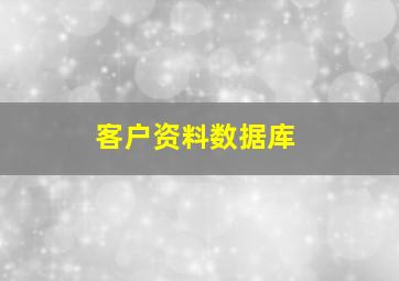 客户资料数据库