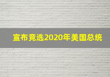 宣布竞选2020年美国总统