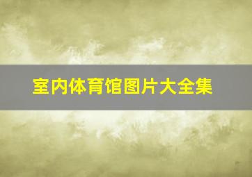 室内体育馆图片大全集