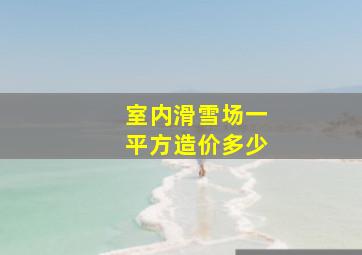 室内滑雪场一平方造价多少