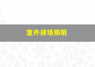 室外球场照明