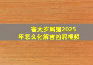 害太岁属猪2025年怎么化解吉凶呢视频