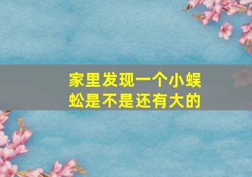 家里发现一个小蜈蚣是不是还有大的