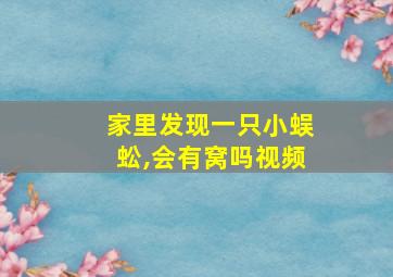 家里发现一只小蜈蚣,会有窝吗视频