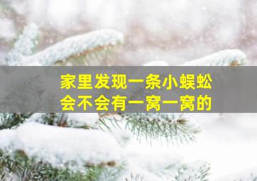 家里发现一条小蜈蚣会不会有一窝一窝的