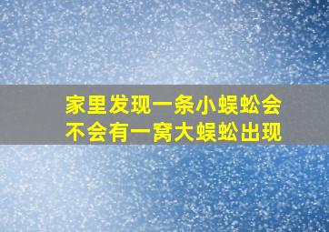 家里发现一条小蜈蚣会不会有一窝大蜈蚣出现