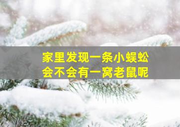 家里发现一条小蜈蚣会不会有一窝老鼠呢