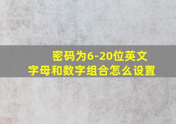 密码为6-20位英文字母和数字组合怎么设置