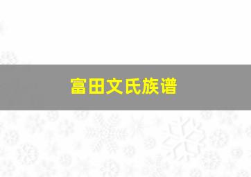 富田文氏族谱