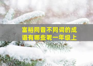 富裕同音不同词的成语有哪些呢一年级上