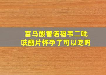 富马酸替诺福韦二吡呋酯片怀孕了可以吃吗