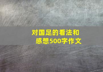 对国足的看法和感想500字作文