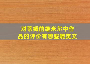 对蒂姆的维米尔中作品的评价有哪些呢英文