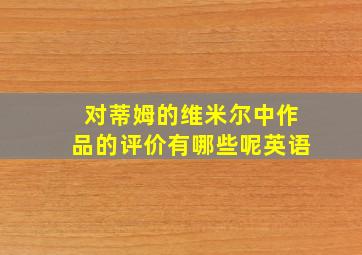 对蒂姆的维米尔中作品的评价有哪些呢英语