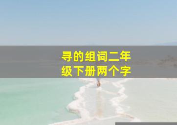 寻的组词二年级下册两个字