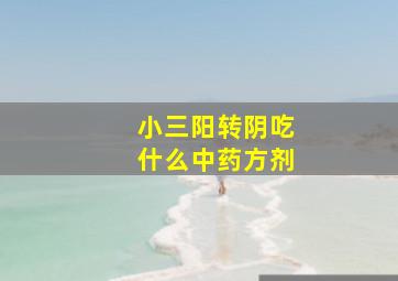 小三阳转阴吃什么中药方剂