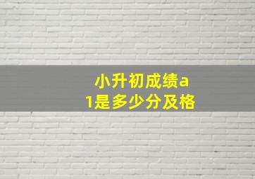 小升初成绩a1是多少分及格