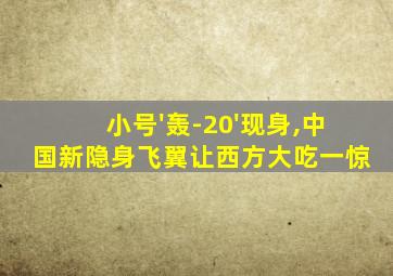 小号'轰-20'现身,中国新隐身飞翼让西方大吃一惊