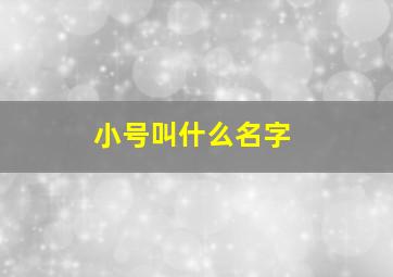 小号叫什么名字