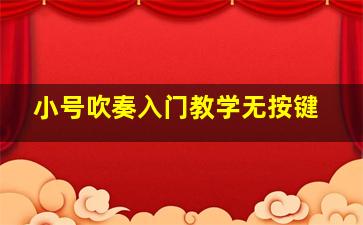 小号吹奏入门教学无按键