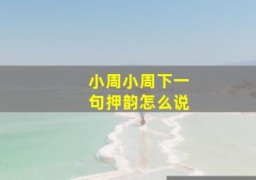 小周小周下一句押韵怎么说