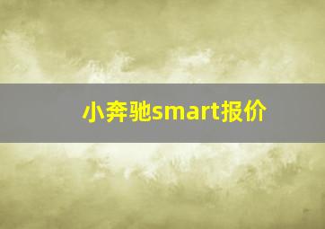 小奔驰smart报价