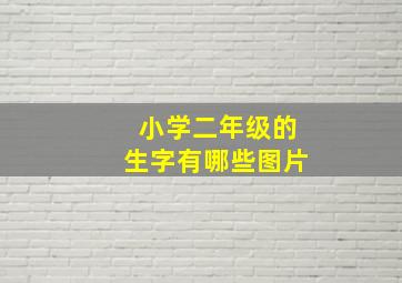 小学二年级的生字有哪些图片