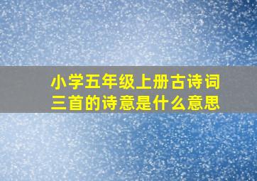 小学五年级上册古诗词三首的诗意是什么意思